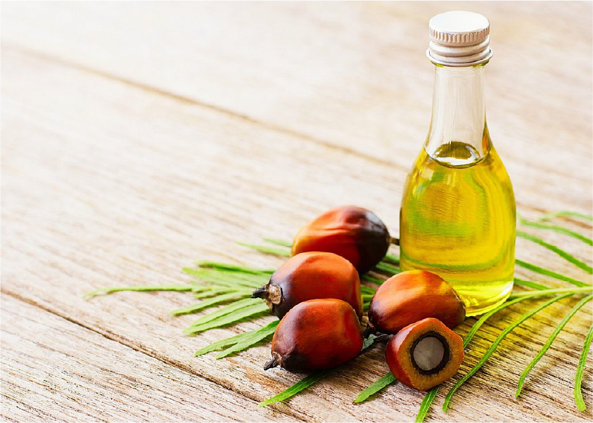 Olive oil and fresh olives